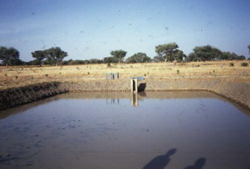 Un bassin de pisciculture